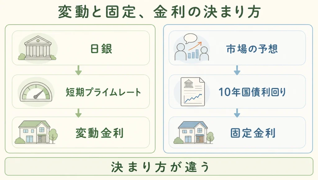 変動と固定の金利の決まり方の図解：変動は日銀から短期プライムレートを経て変動金利へ、固定は市場の予想から10年国債利回りを経て固定金利へ。決まり方が違う